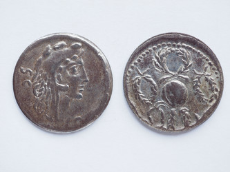 Similar image 8974518