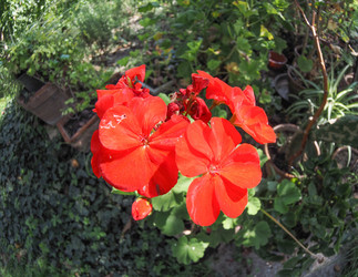 Similar image 8974524