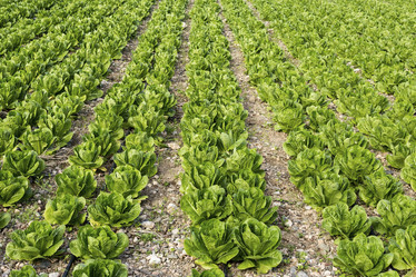 Similar image 8998165