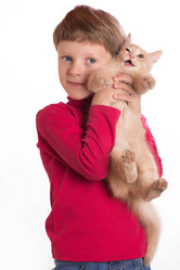 Similar image 8998227