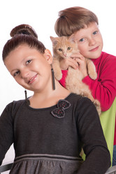 Similar image 8998261