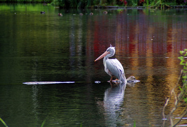 Similar image 8998272