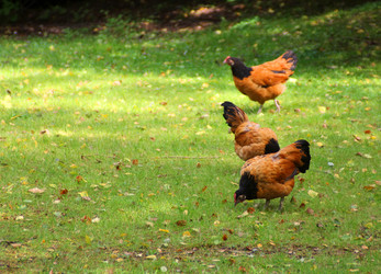 Similar image 8998274