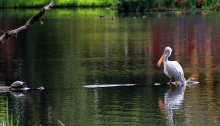 Similar image 8998275