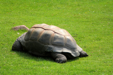 Similar image 8998365