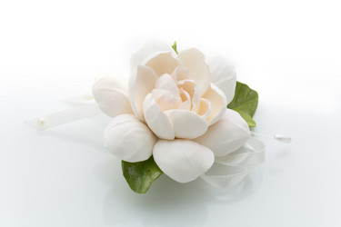 Similar image 8998757