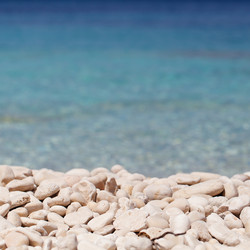 Similar image 8998849