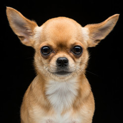 Similar image 8998852