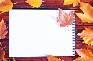 Similar image 8999947