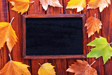 Similar image 8999987