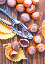 Similar image 9000426