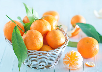 Similar image 9001530