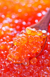 Similar image 9002185