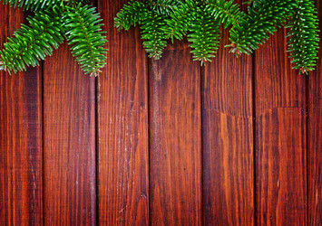 Similar image 9003442