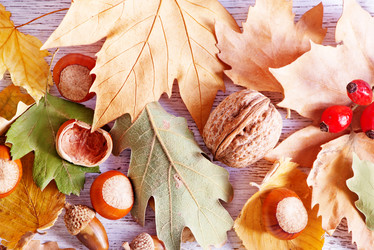 Similar image 9003661