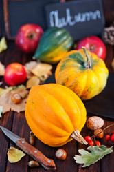 Similar image 9003686