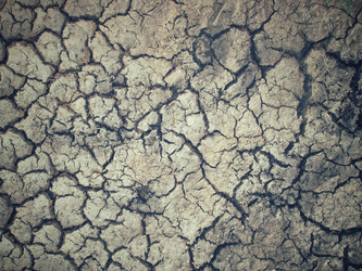 Similar image 9007422