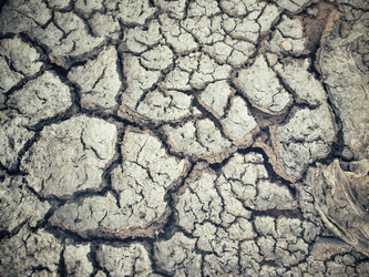 Similar image 9007424