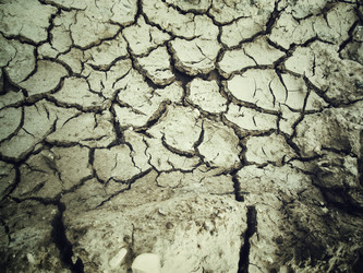 Similar image 9007432