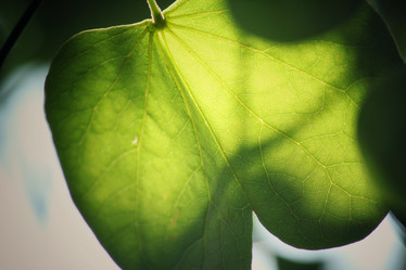 Similar image 9007442