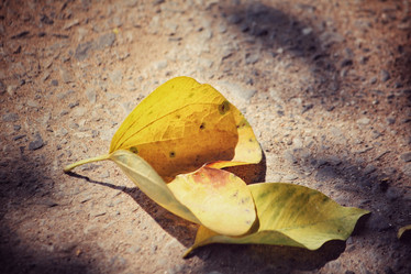 Similar image 9007445