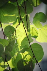 Similar image 9007447