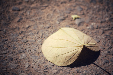 Similar image 9007504