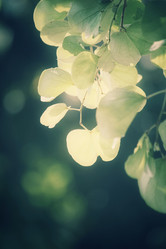 Similar image 9007506