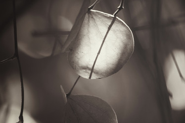 Similar image 9007511