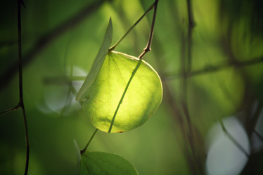 Similar image 9007513