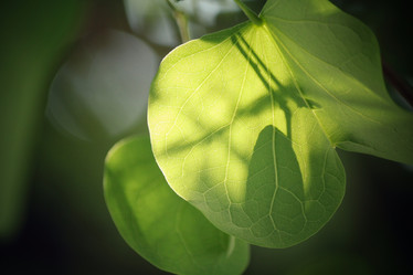 Similar image 9007518