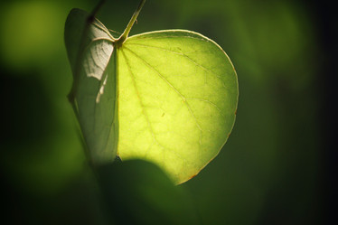 Similar image 9007521