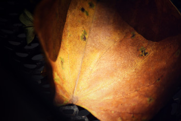 Similar image 9007524