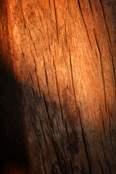 Similar image 9007528