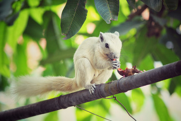 Similar image 9007530