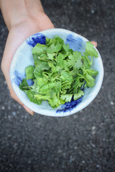 Similar image 9007725