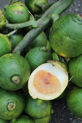 Similar image 9007954