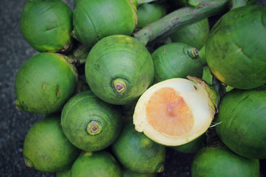 Similar image 9008011