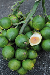 Similar image 9008013