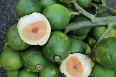 Similar image 9008015