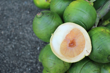 Similar image 9008019