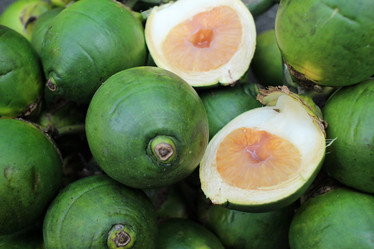 Similar image 9008022