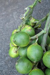 Similar image 9008024