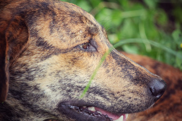 Similar image 9008027