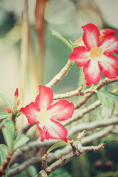 Similar image 9008031