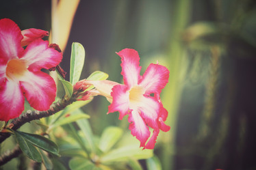 Similar image 9008033