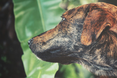 Similar image 9008035