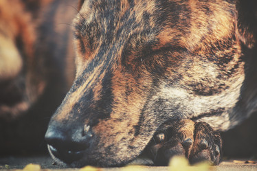 Similar image 9008038