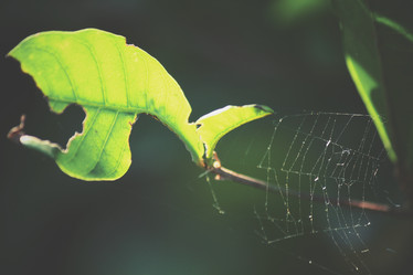 Similar image 9008047