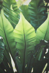 Similar image 9008049